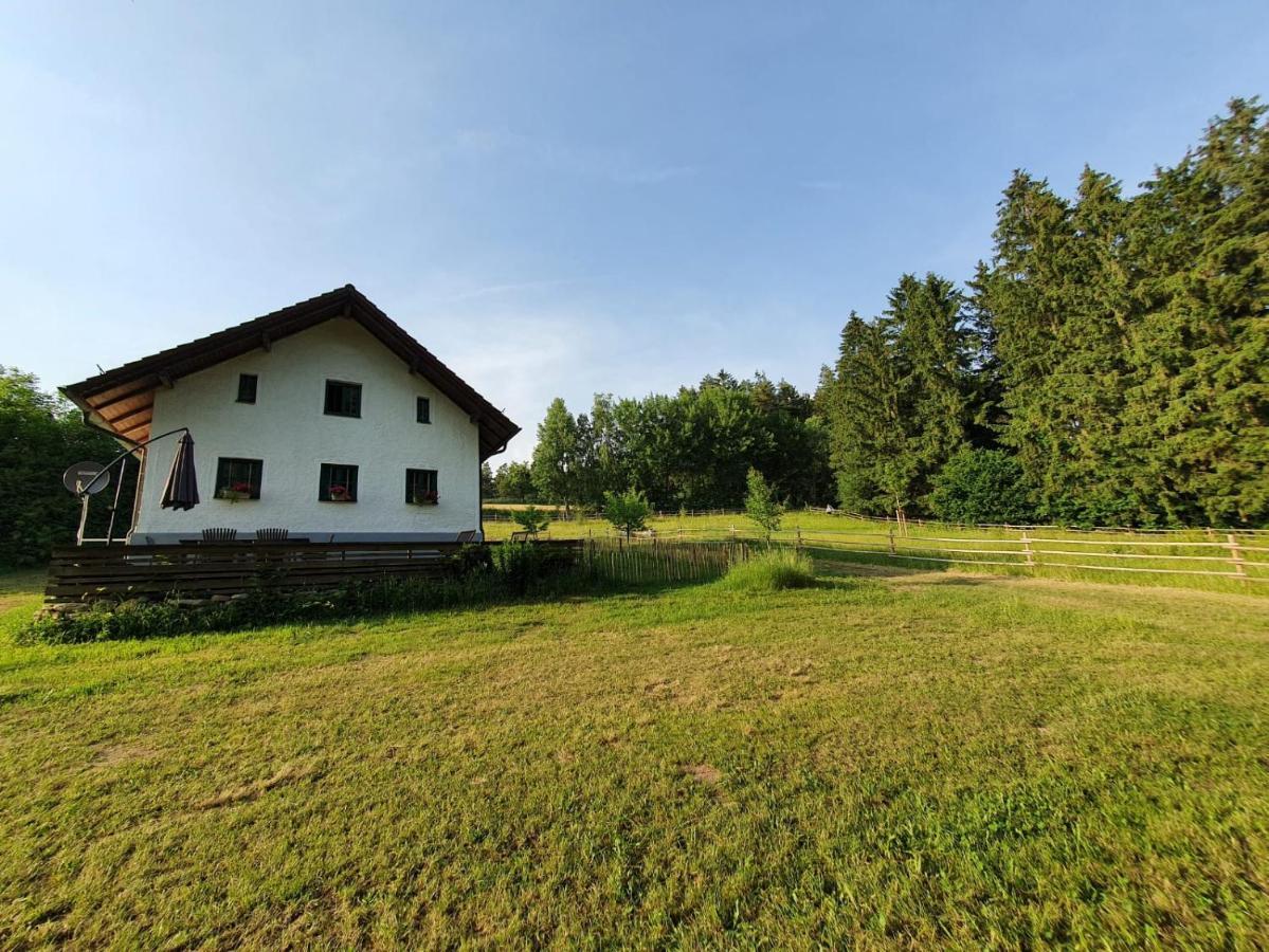 Ferienhaus Am Dachsberg, Bayerischer Wald Lägenhet Haselbach Exteriör bild