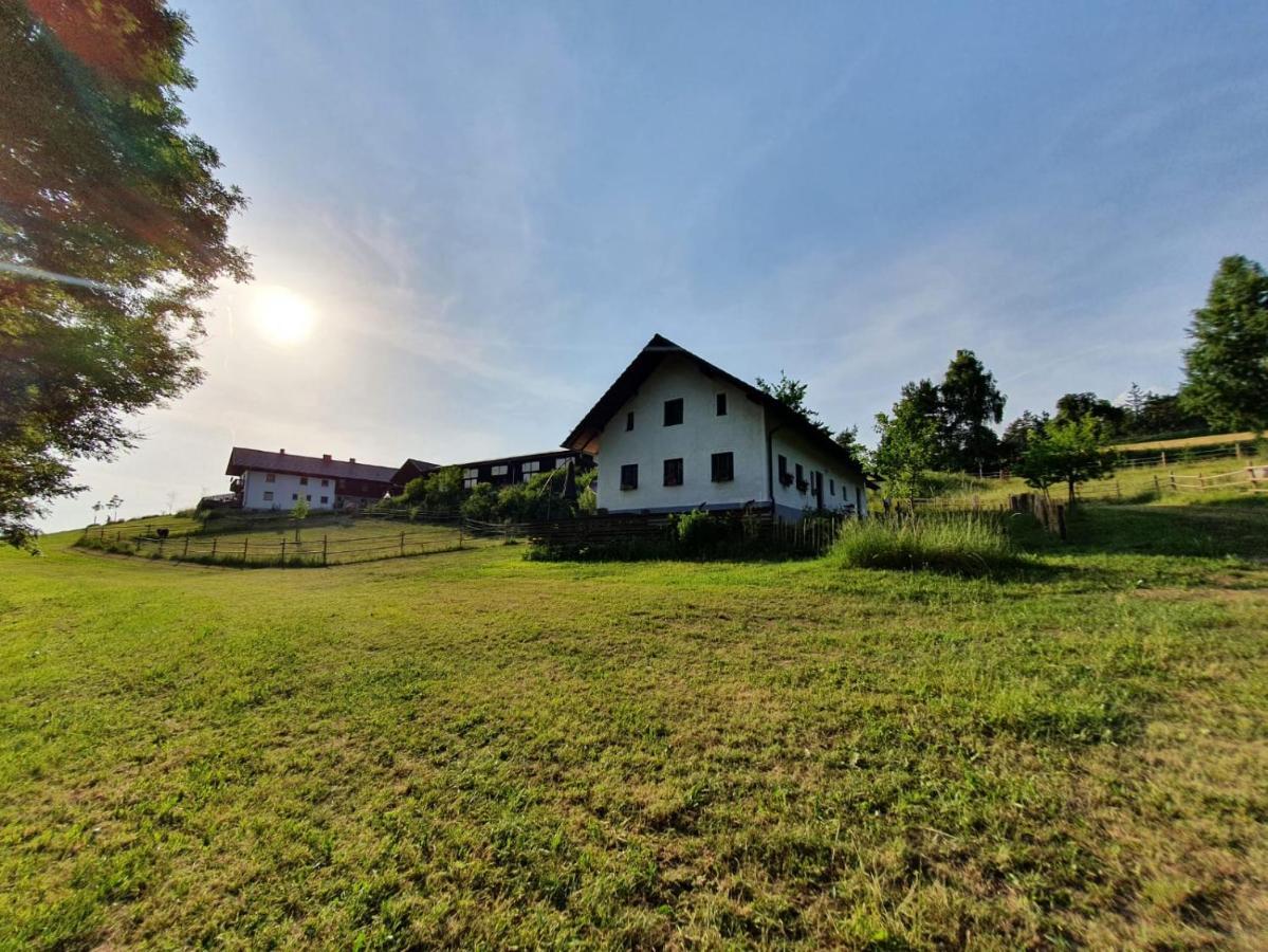 Ferienhaus Am Dachsberg, Bayerischer Wald Lägenhet Haselbach Exteriör bild