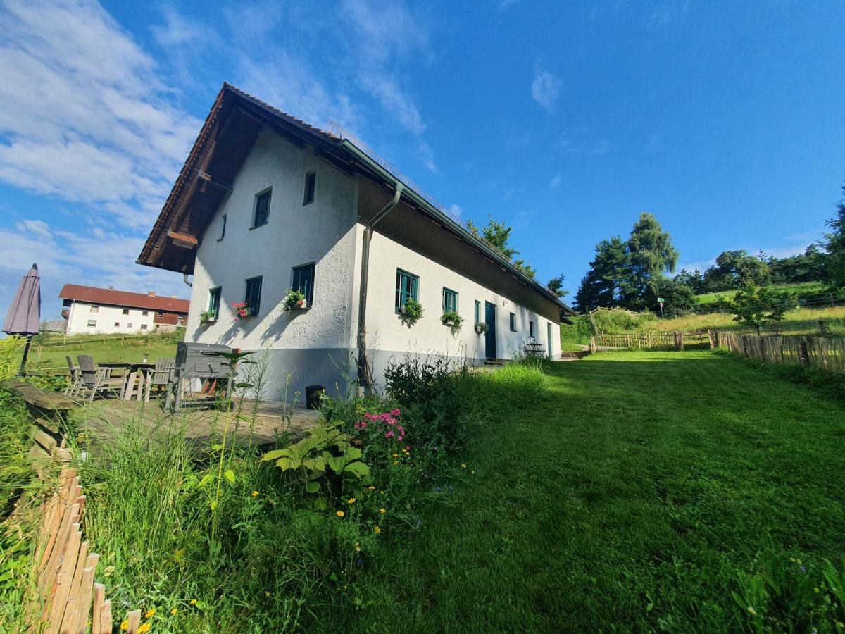 Ferienhaus Am Dachsberg, Bayerischer Wald Lägenhet Haselbach Exteriör bild