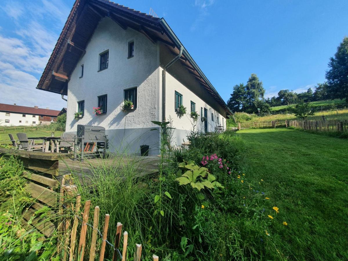 Ferienhaus Am Dachsberg, Bayerischer Wald Lägenhet Haselbach Exteriör bild